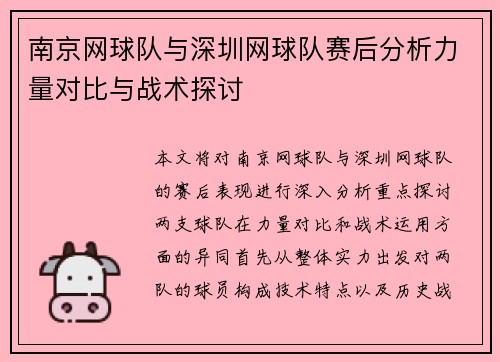 南京网球队与深圳网球队赛后分析力量对比与战术探讨