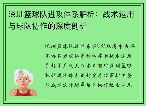 深圳篮球队进攻体系解析：战术运用与球队协作的深度剖析