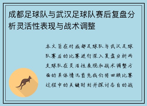 成都足球队与武汉足球队赛后复盘分析灵活性表现与战术调整
